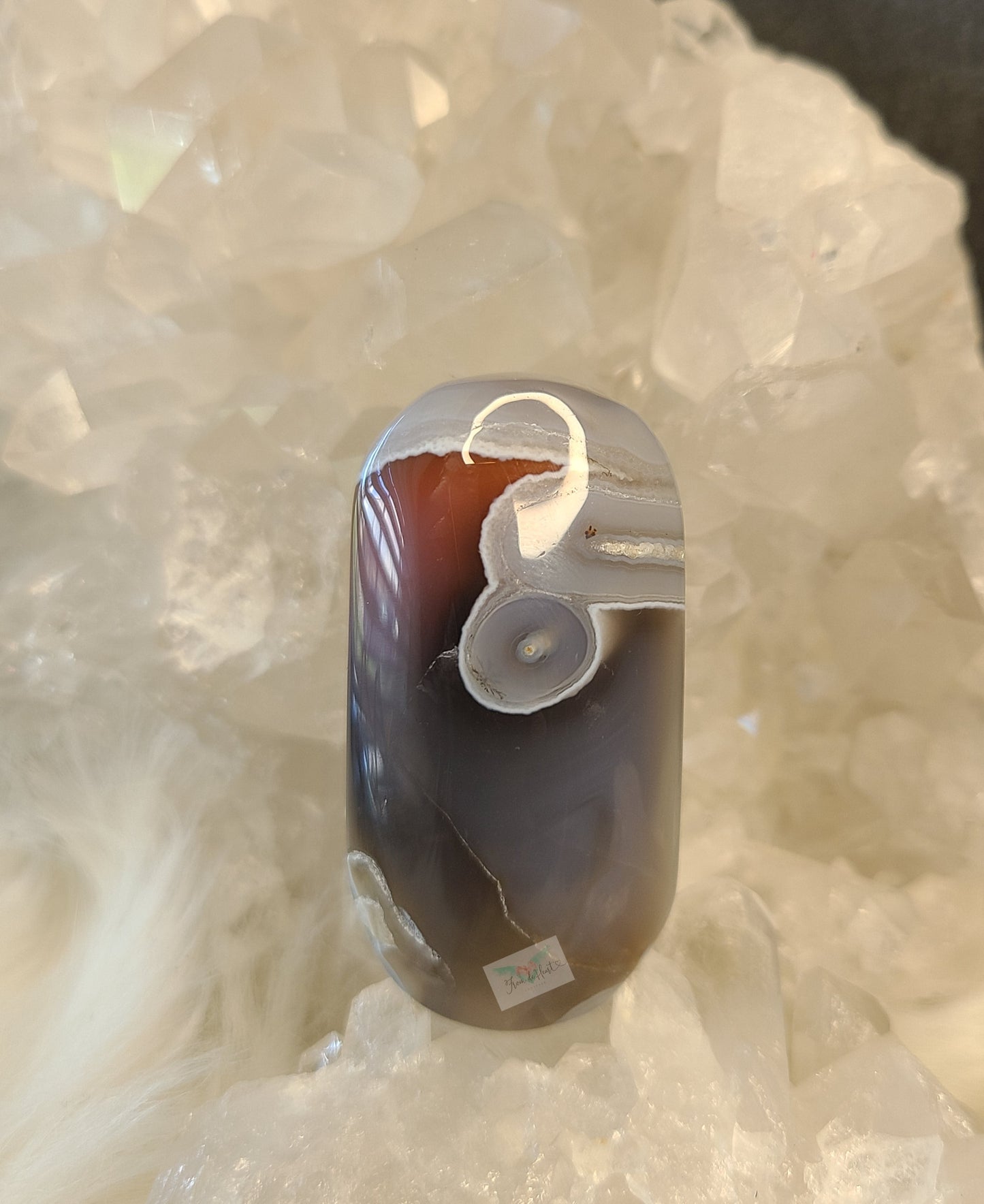 Orbicular Swazi Agate C (RARE FIND)
