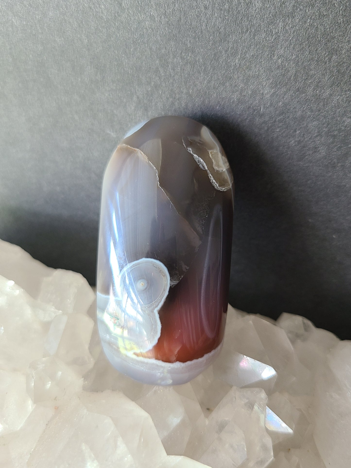 Orbicular Swazi Agate C (RARE FIND)