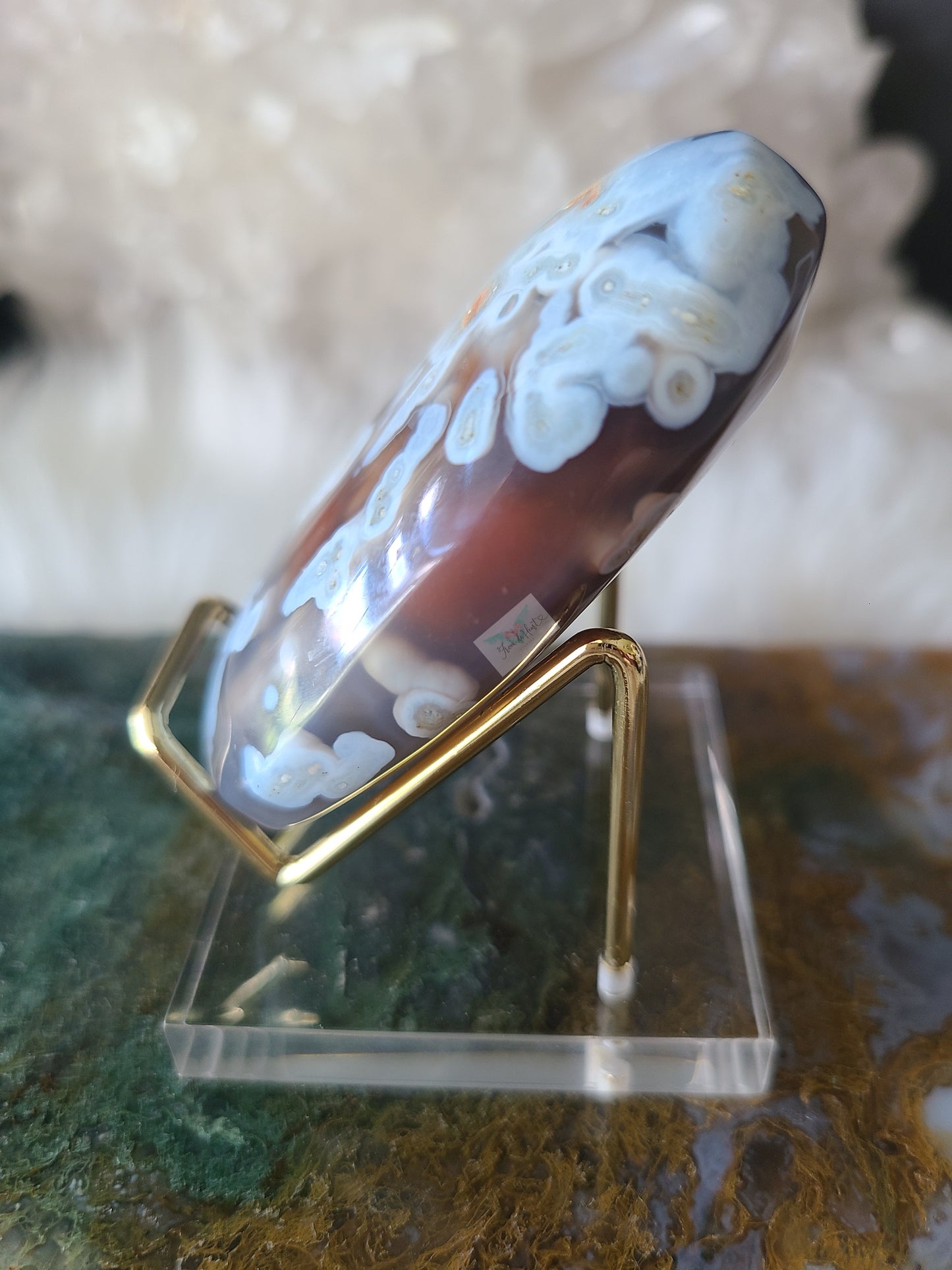 Orbicular Swazi Agate B (RARE FIND)