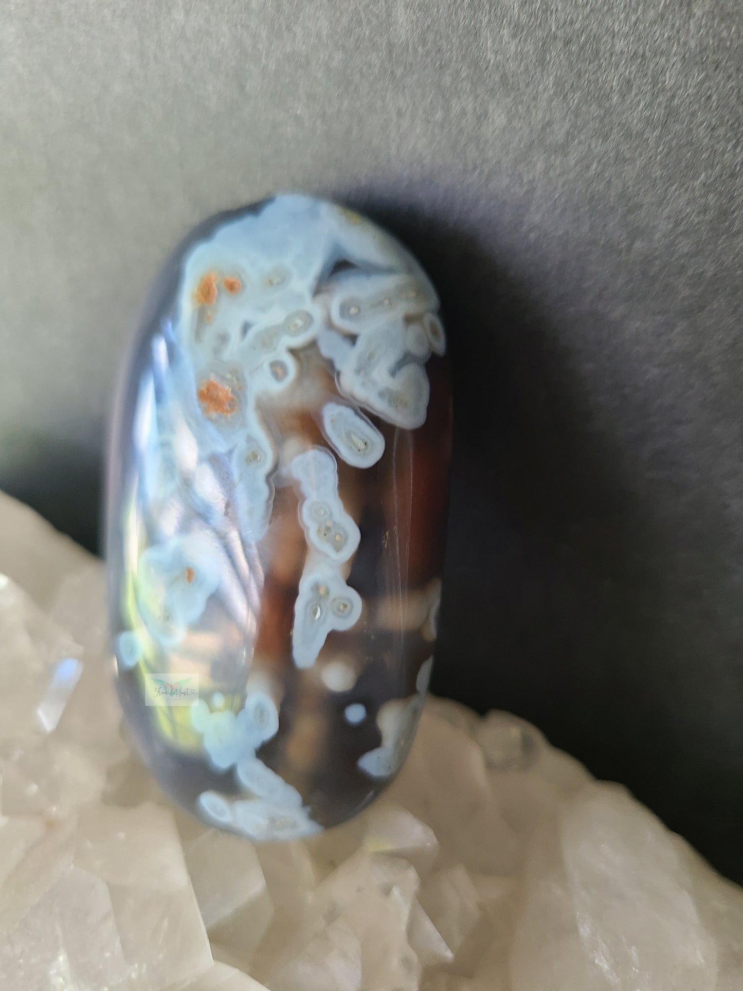Orbicular Swazi Agate B (RARE FIND)