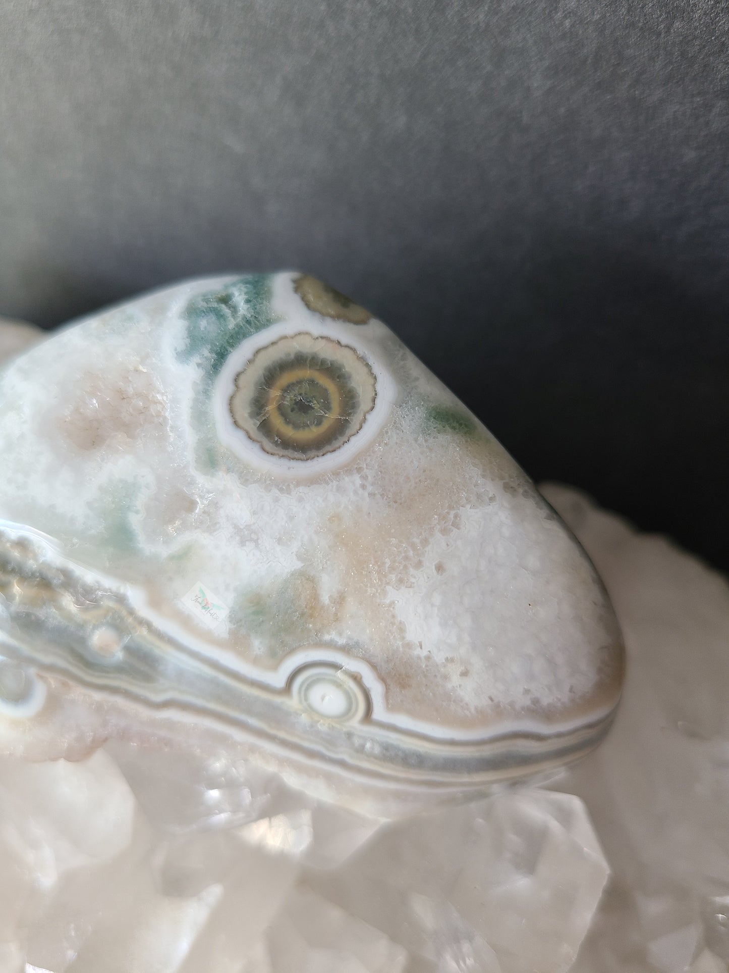Eight Vein Ocean Jasper Free form