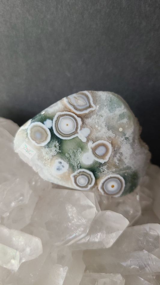 Eight Vein Ocean Jasper Free form