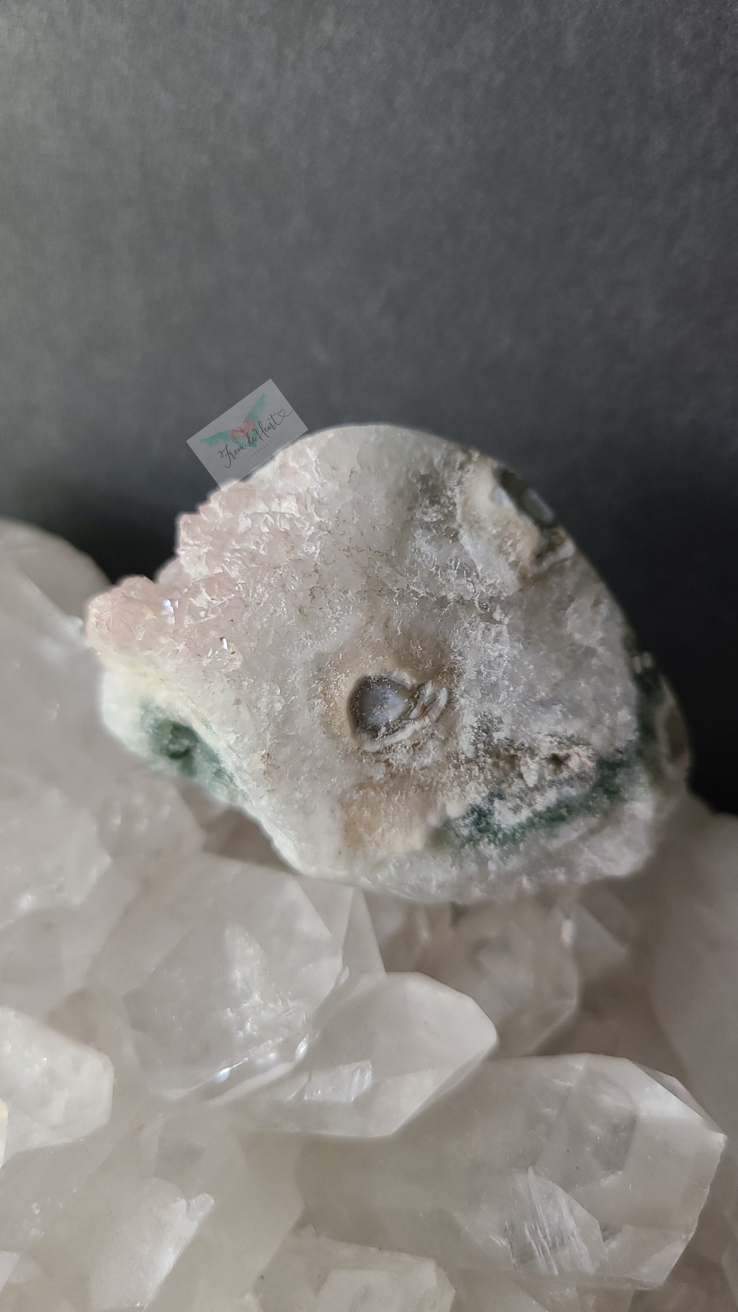 Eight Vein Ocean Jasper Free form