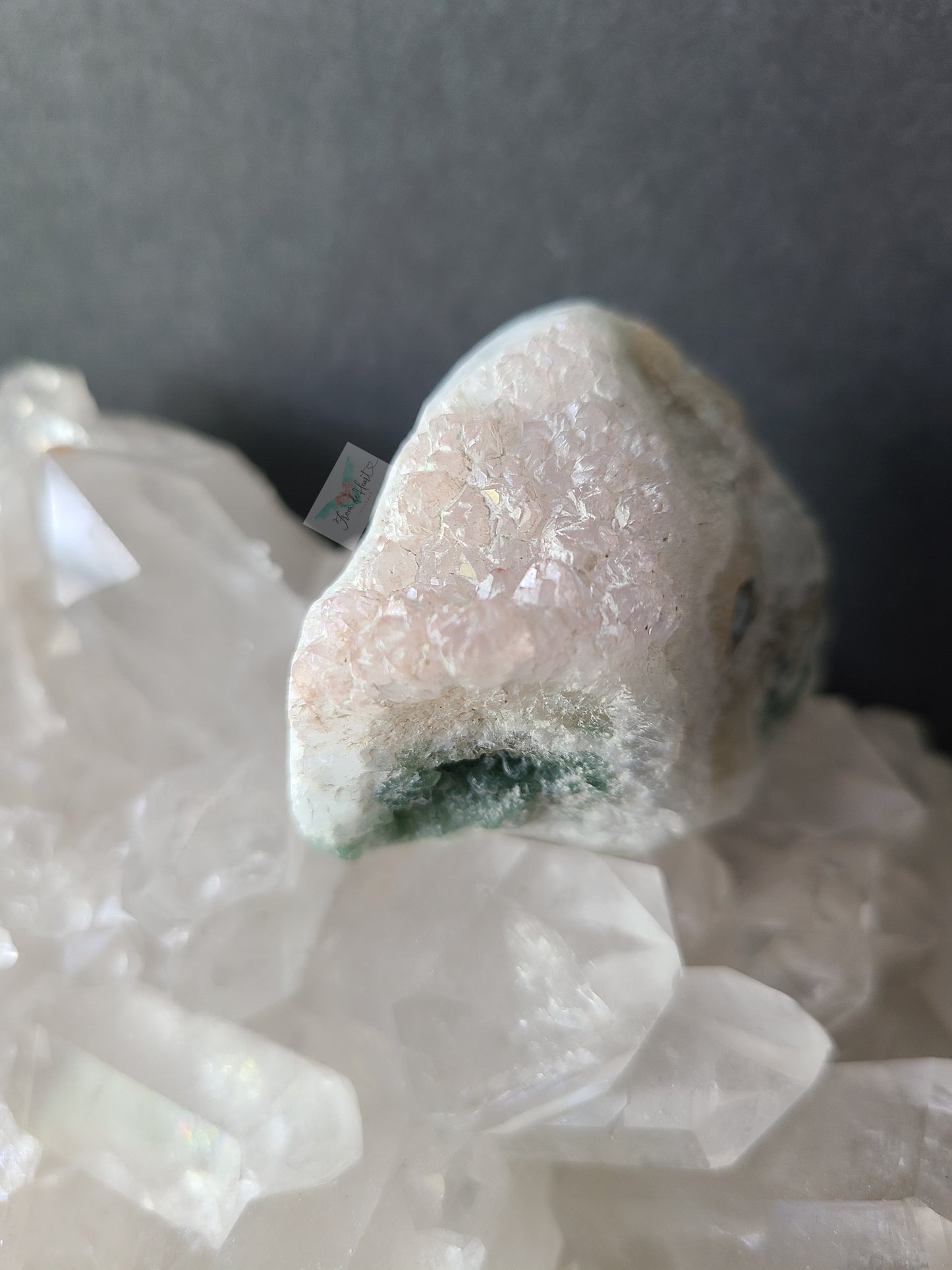 Eight Vein Ocean Jasper Free form