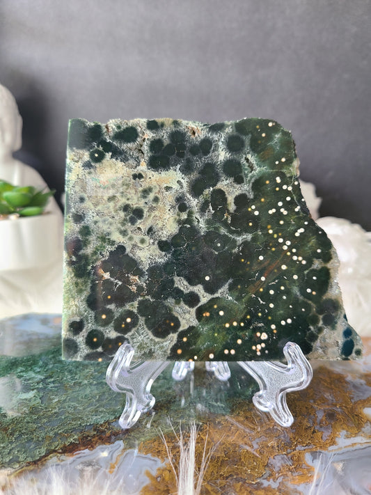 Ocean Jasper Slab