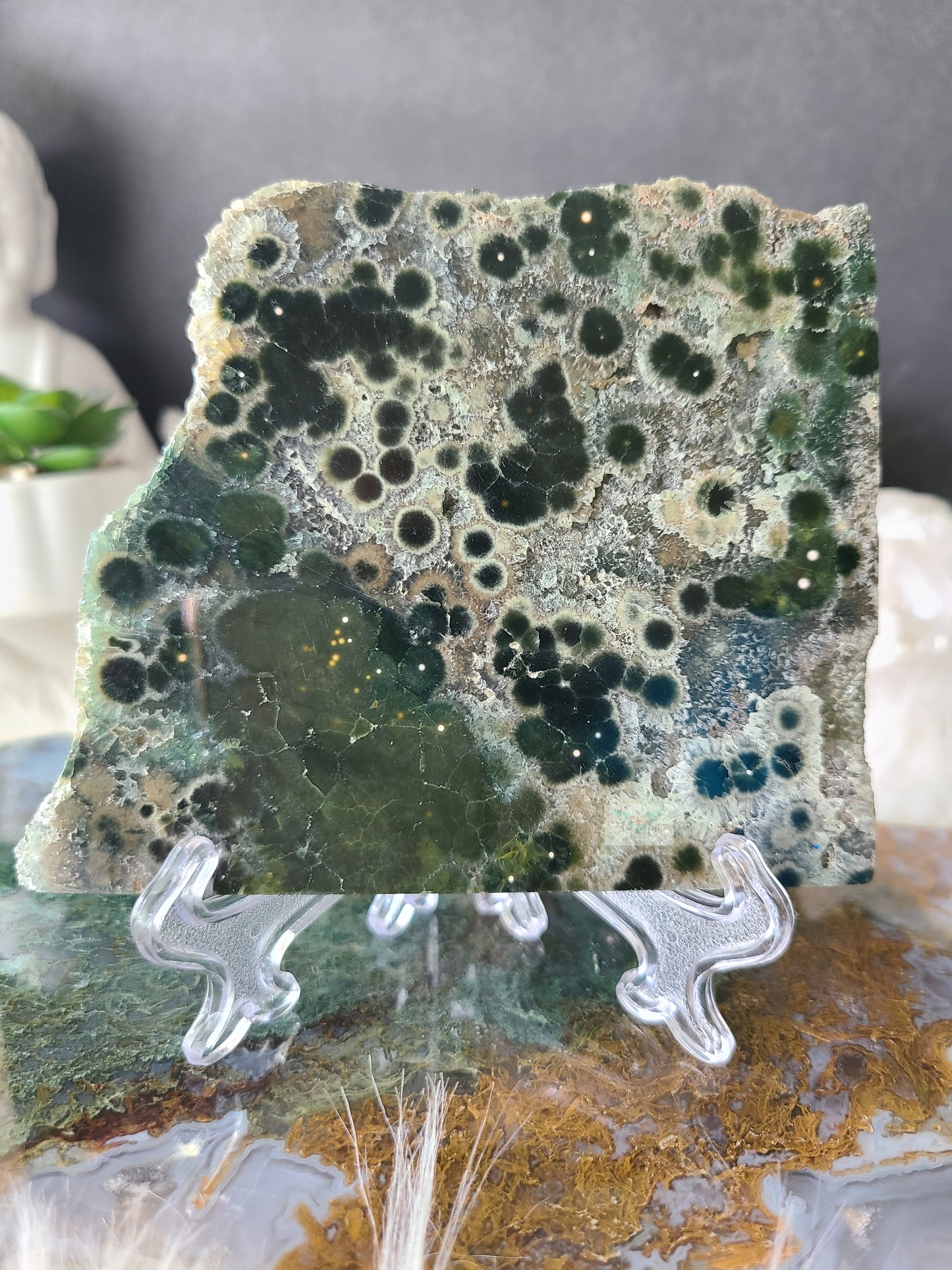 Ocean Jasper Slab