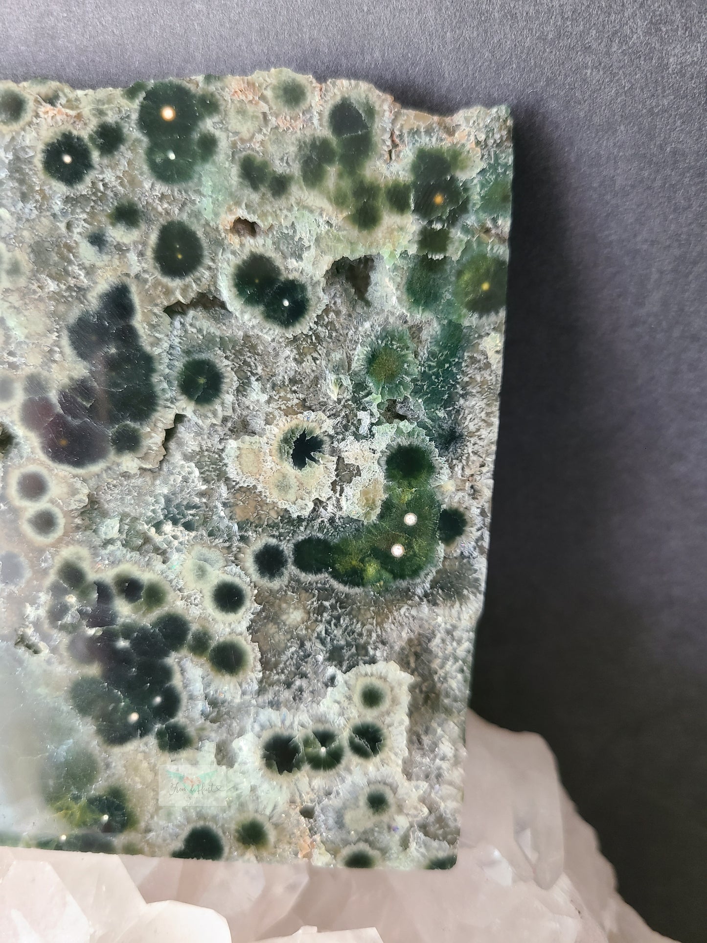 Ocean Jasper Slab