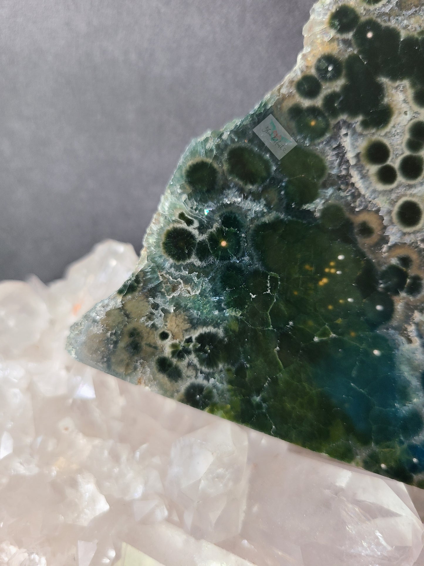 Ocean Jasper Slab