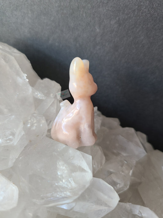 Flower Agate Kitten (E)