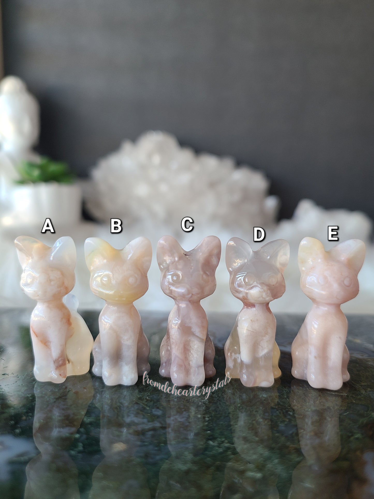 Flower Agate Kitten (A)