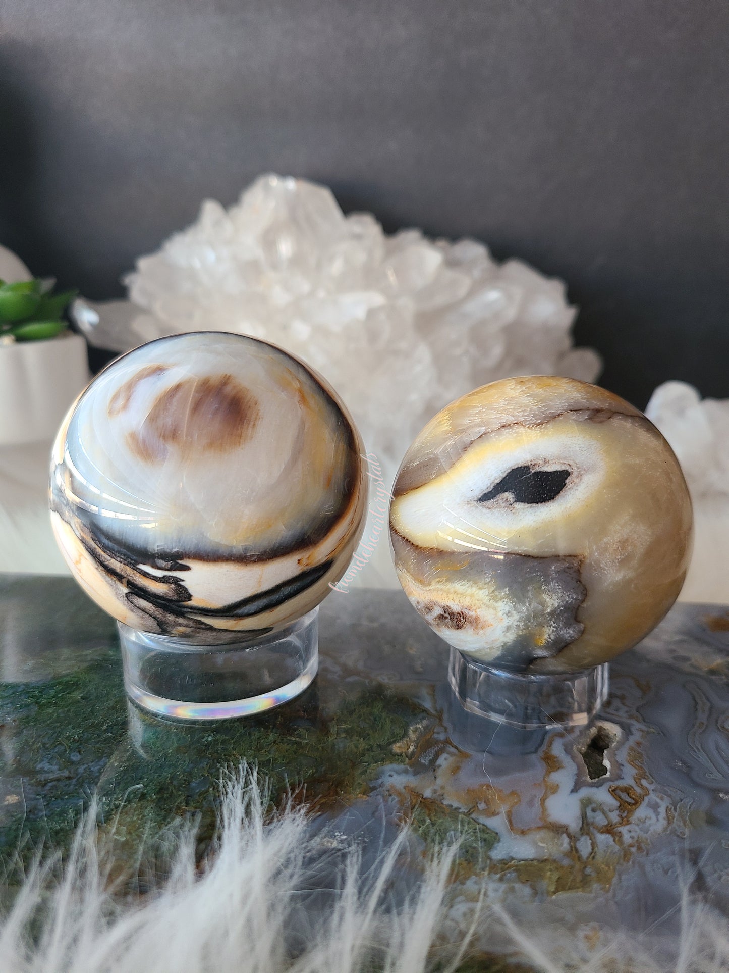 Petrified Wood Sphere