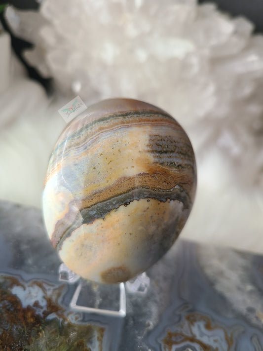 Ocean Jasper Palmstone