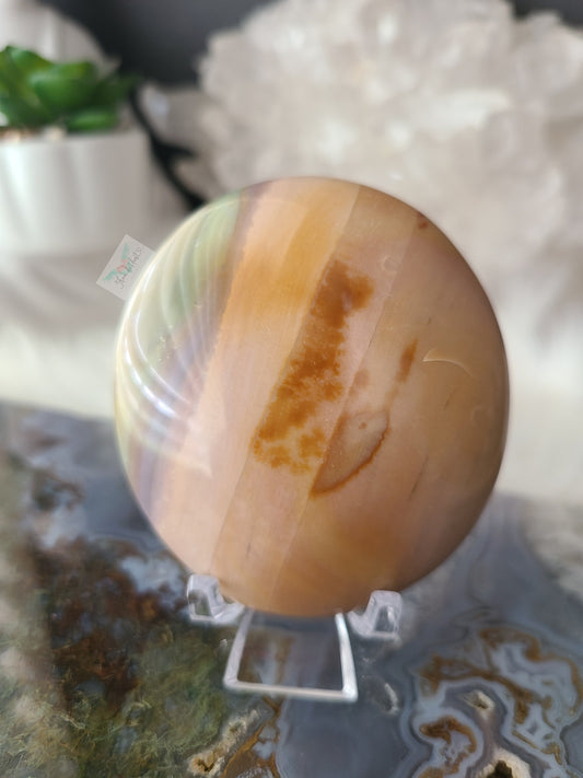 Ocean Jasper Palmstone
