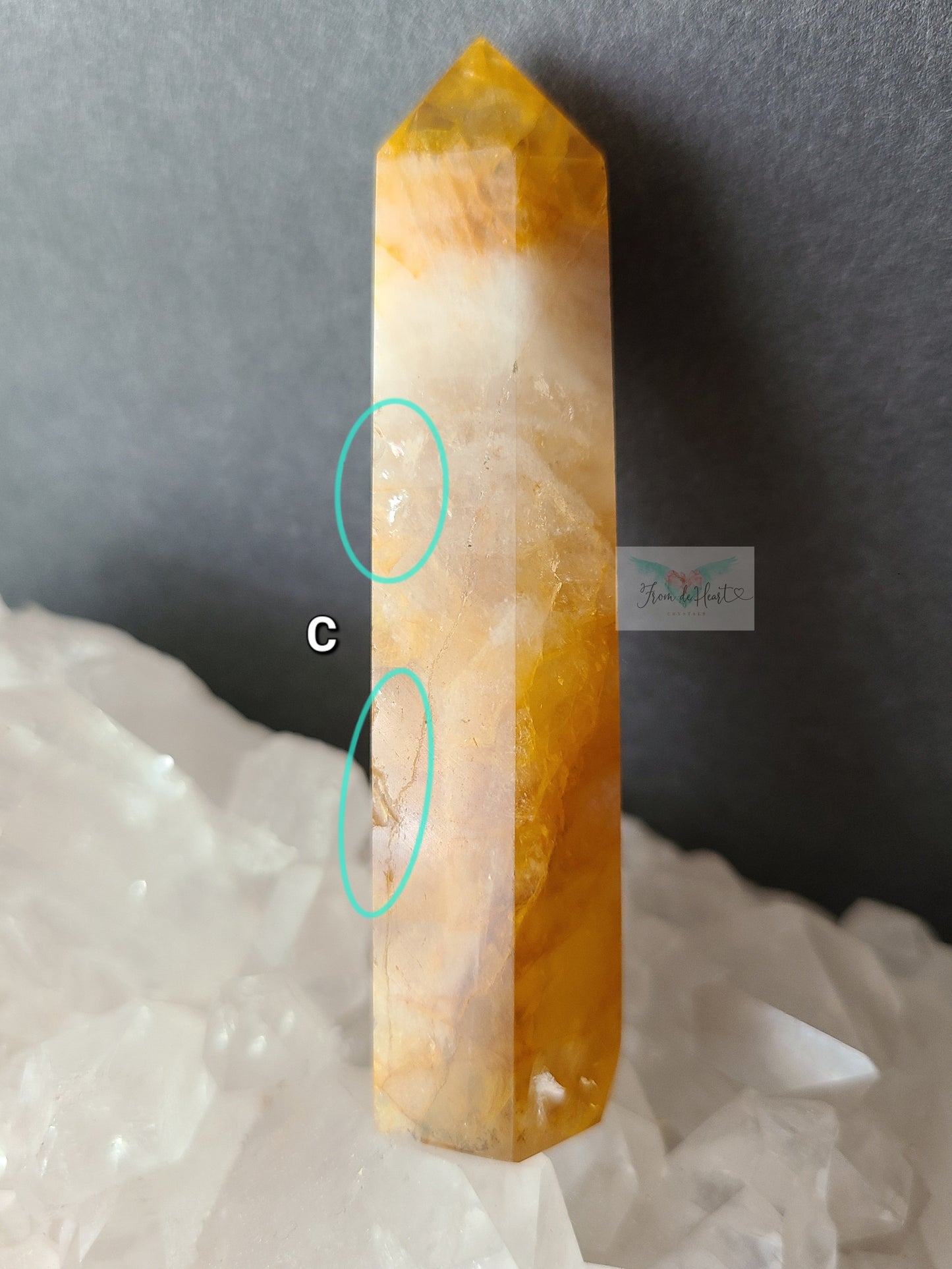 Golden Healer Point (C)