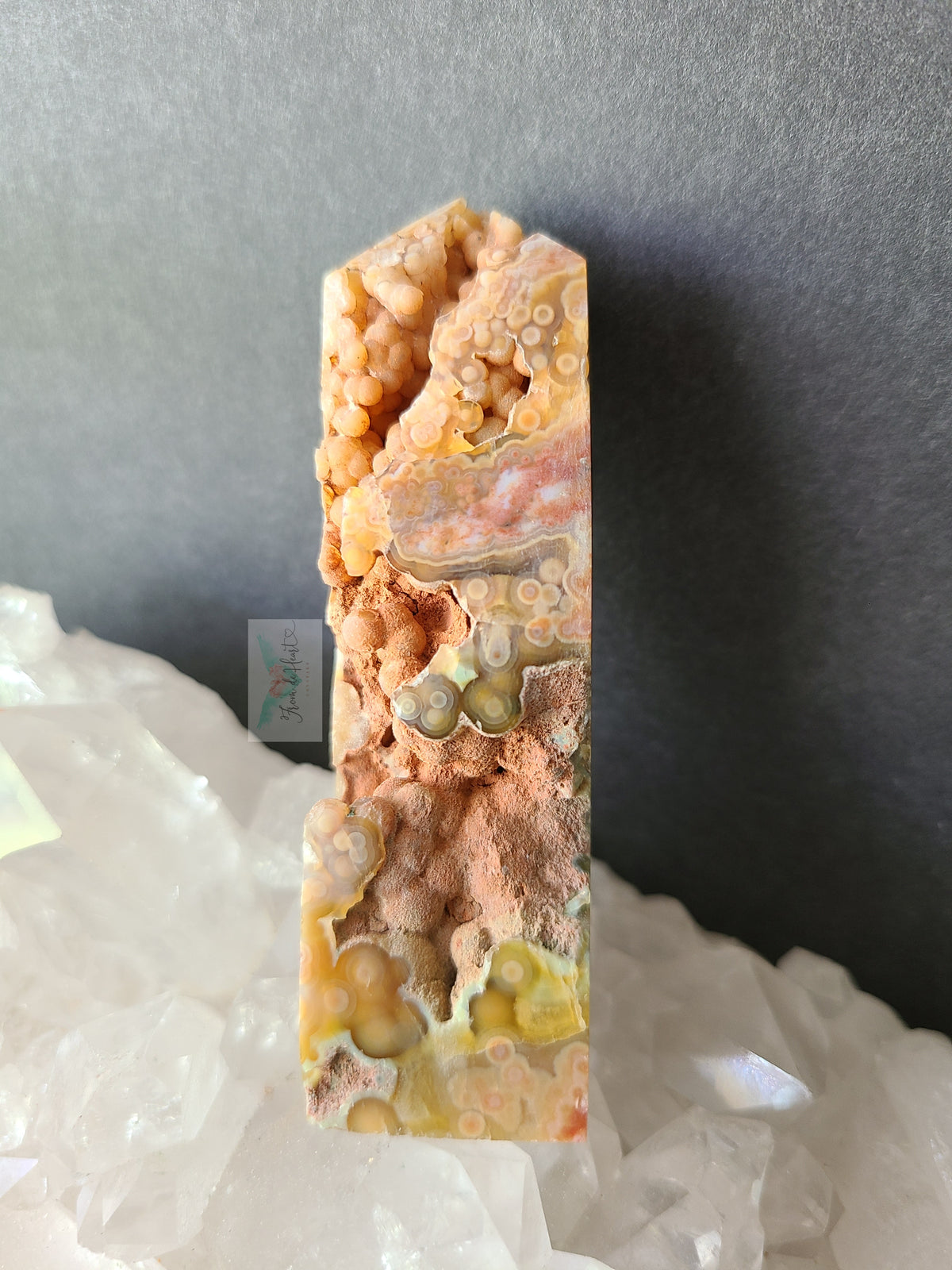 Jelly Ocean Jasper (A)