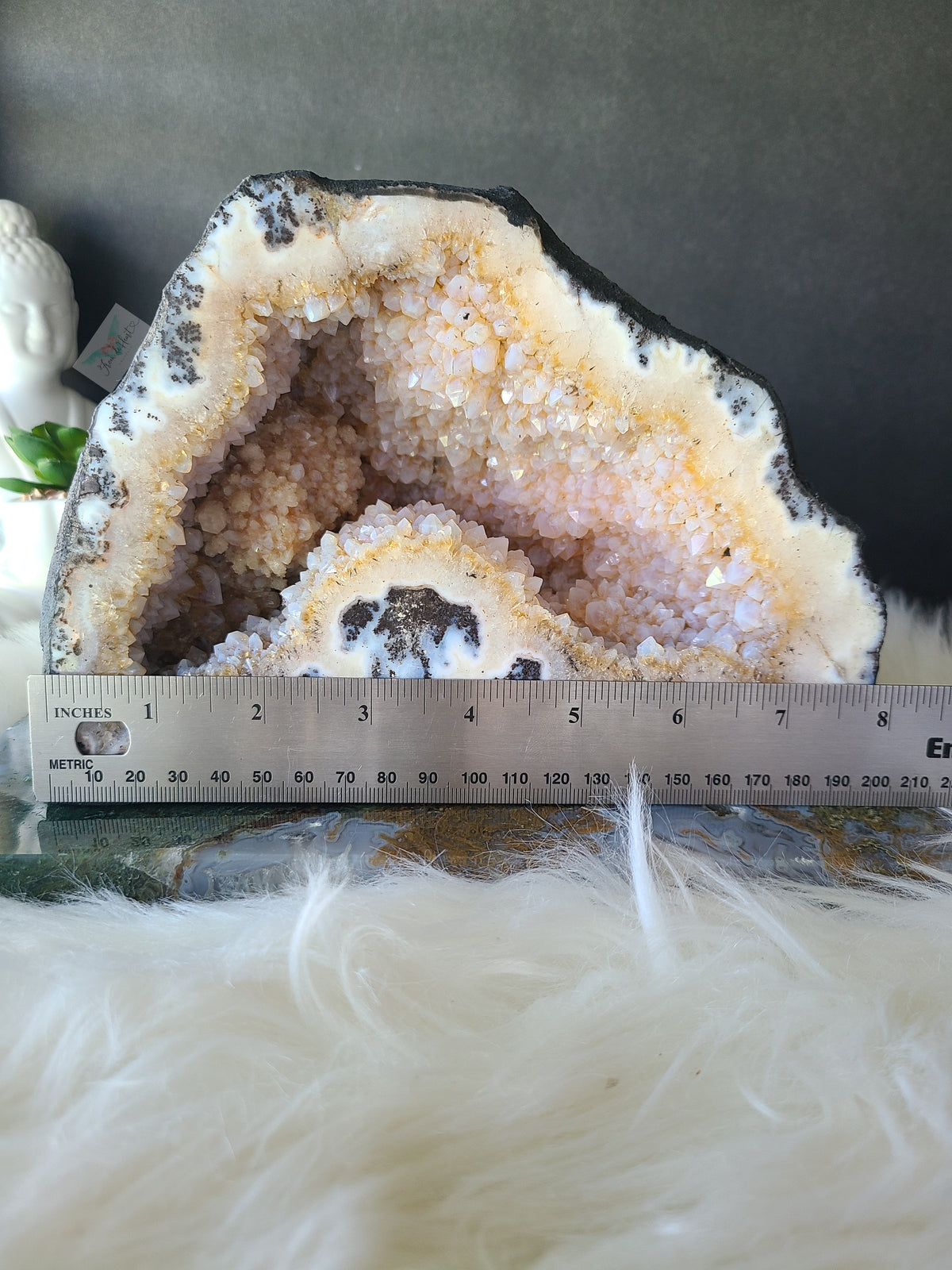 Amethyst Citrine Geode Cut base