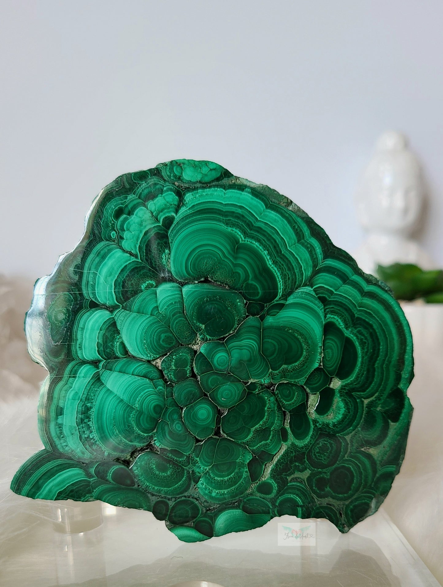 Botryoidal Malachite Slab (B)