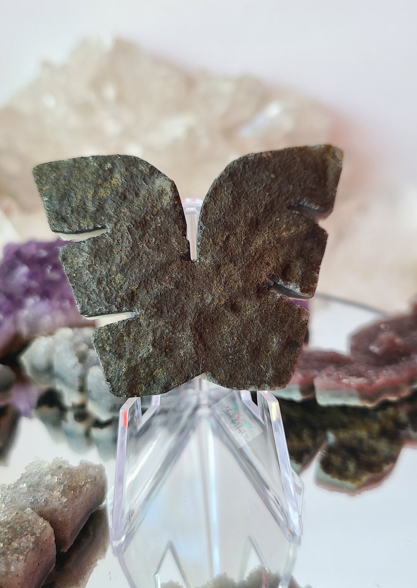 Black Amethyst Cluster Wings (C)