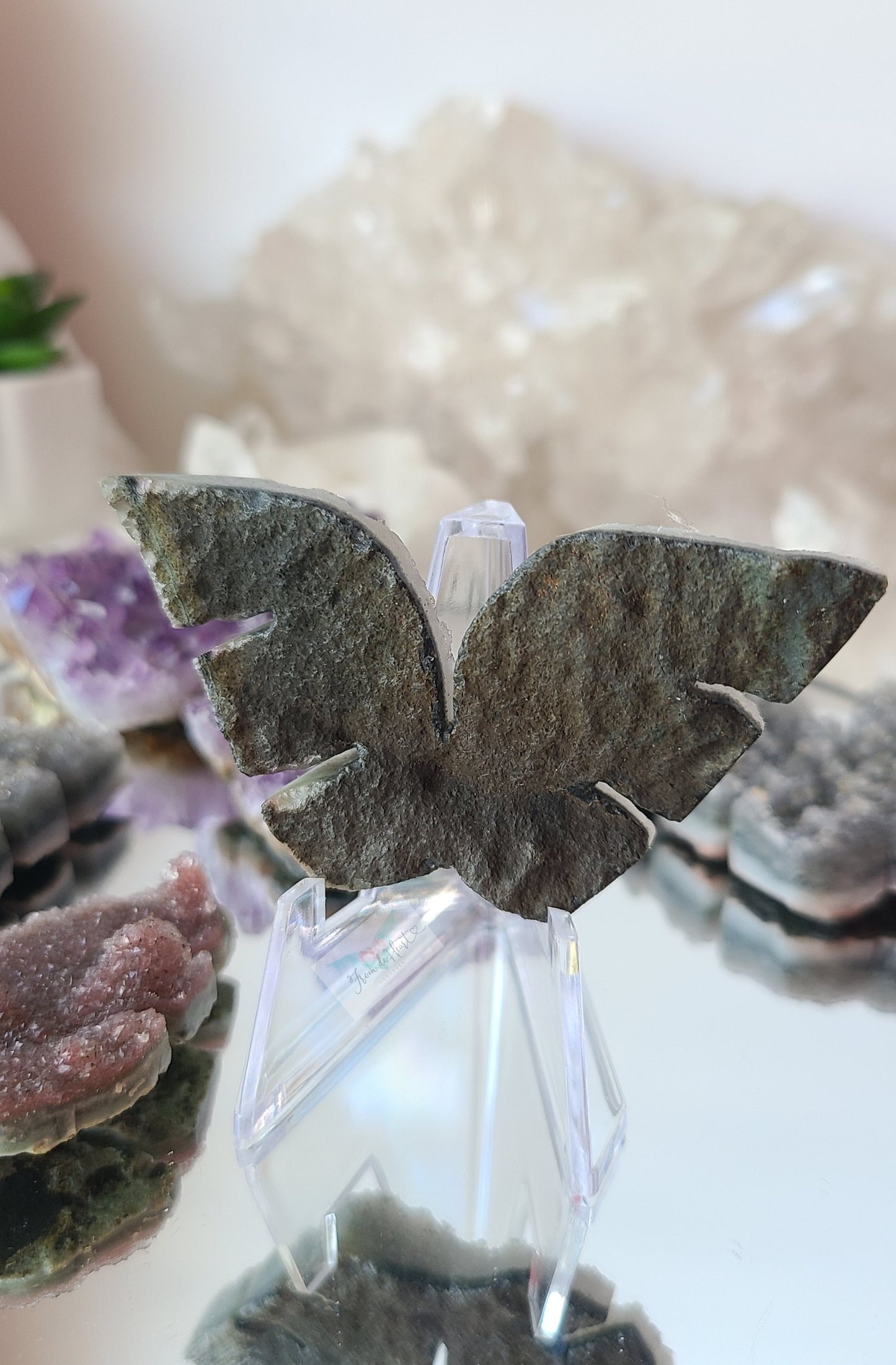 Black Amethyst Cluster Wings (D)