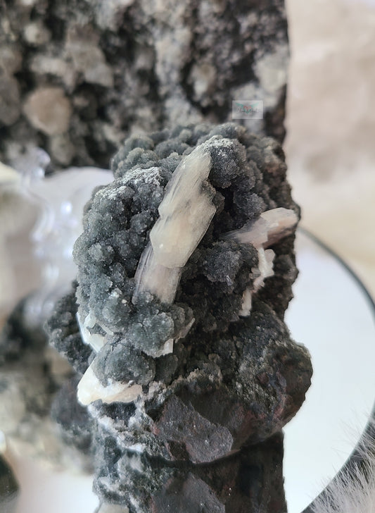 Black Chalcedony w/ Stilbite Cluster
