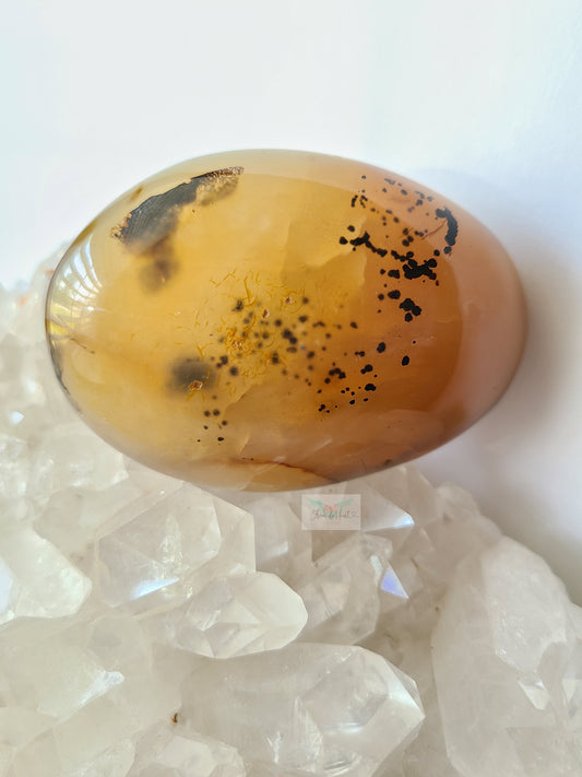 Dendritic Agate Palmstone (SALE)