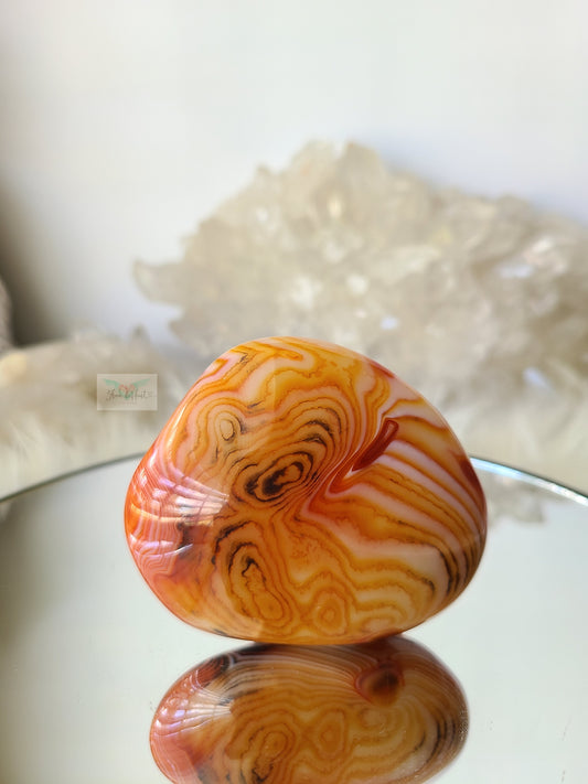 Sardonyx Agate Freeform (B)