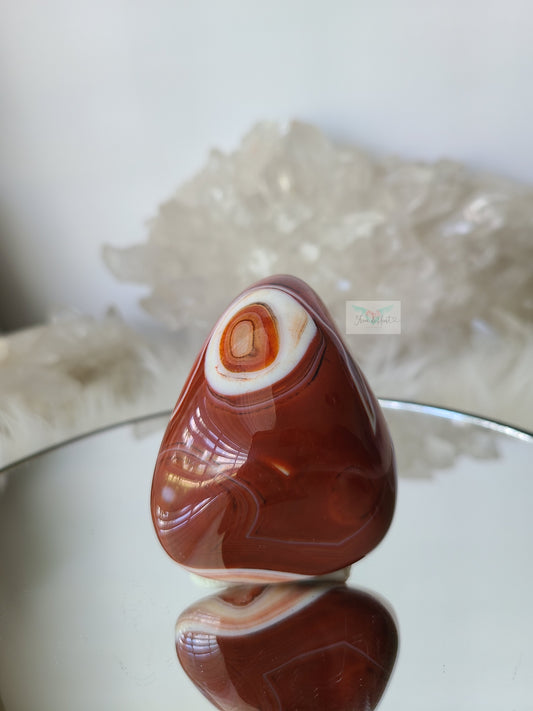 Sardonyx Agate Freeform (C)