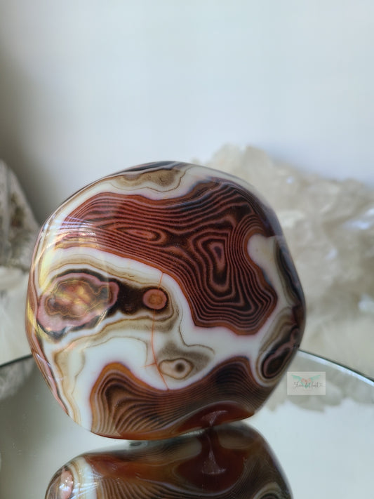 Large Sardonyx Agate Freeform