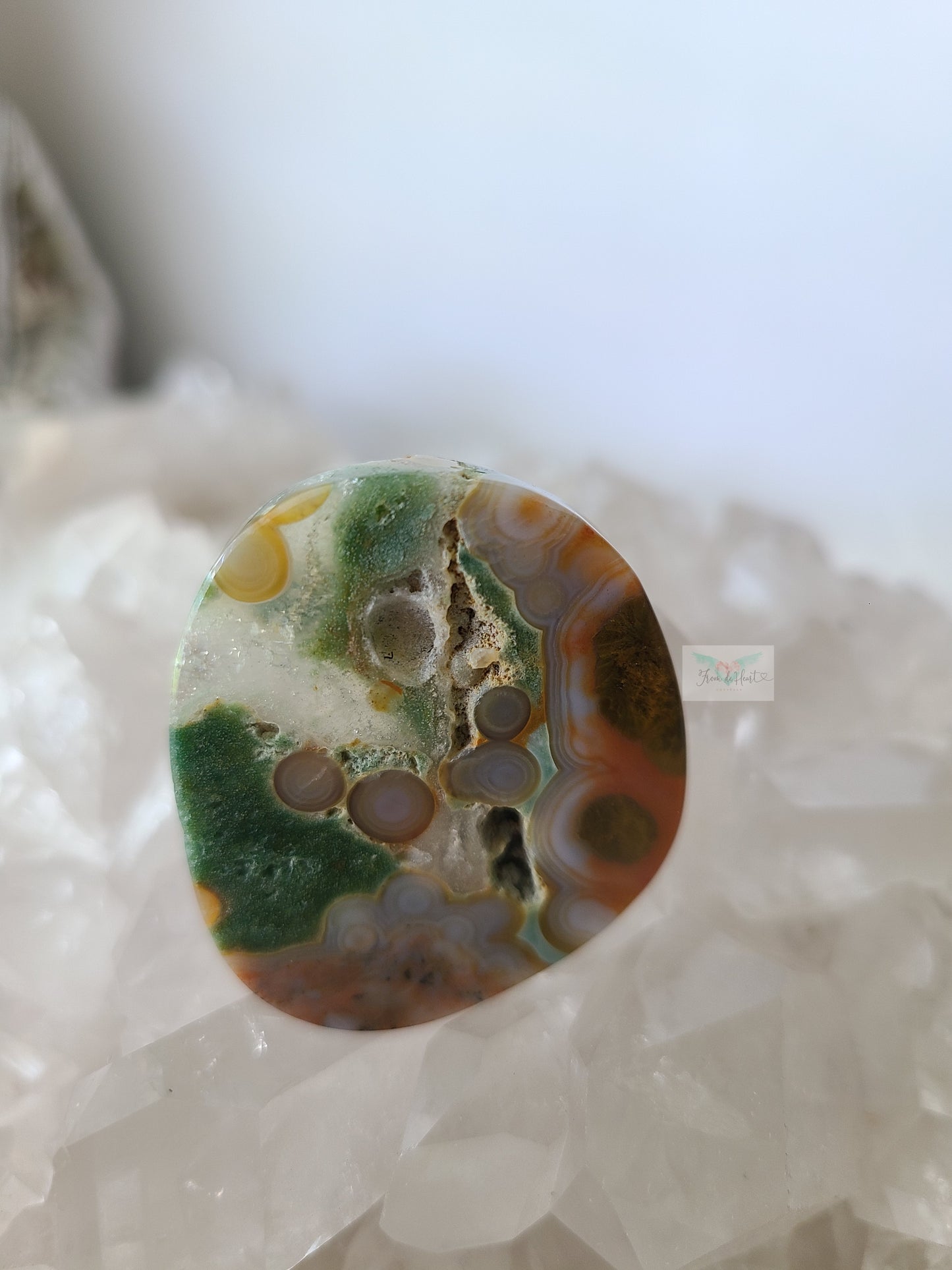 Rare Colorful Old Stock Ocean Jasper Slice (VERY RARE)