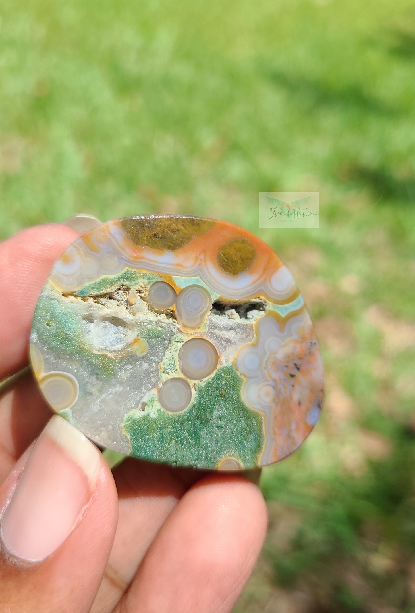 Rare Colorful Old Stock Ocean Jasper Slice (VERY RARE)