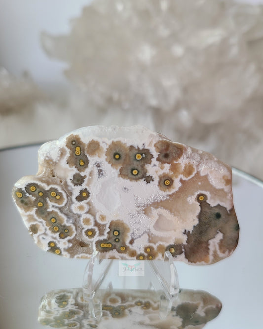 Flowery Old Stock Ocean Jasper Slice