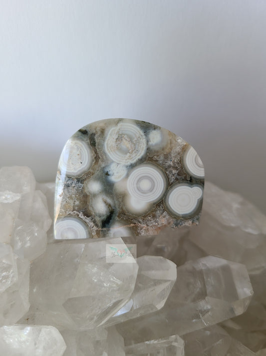 Druzy 8th Vein Ocean Jasper Freeform (B)