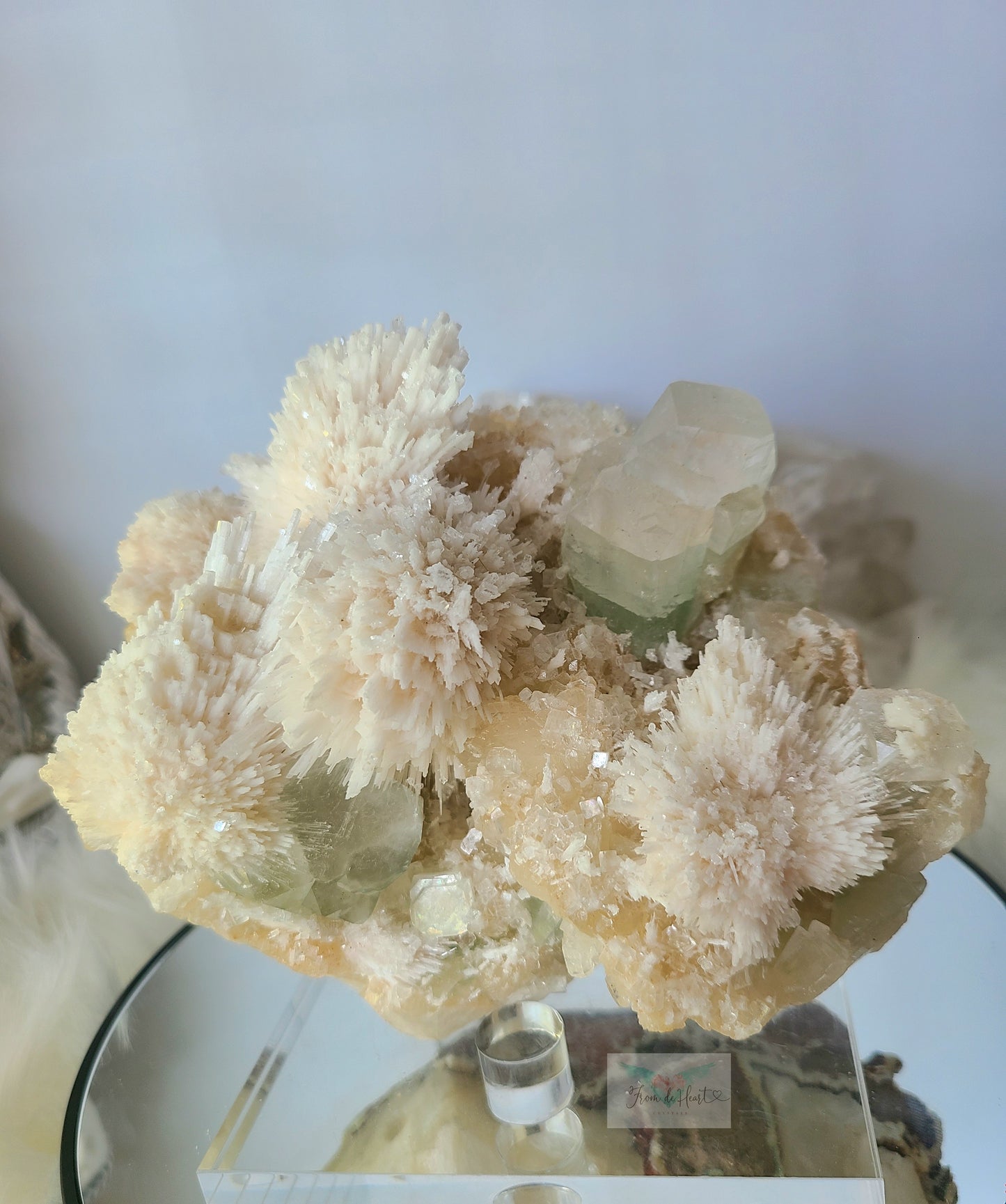 AAA Scolecite with Apophyllite Specimen