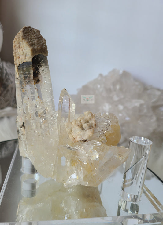 Colombian Lemurian Quartz Cluster