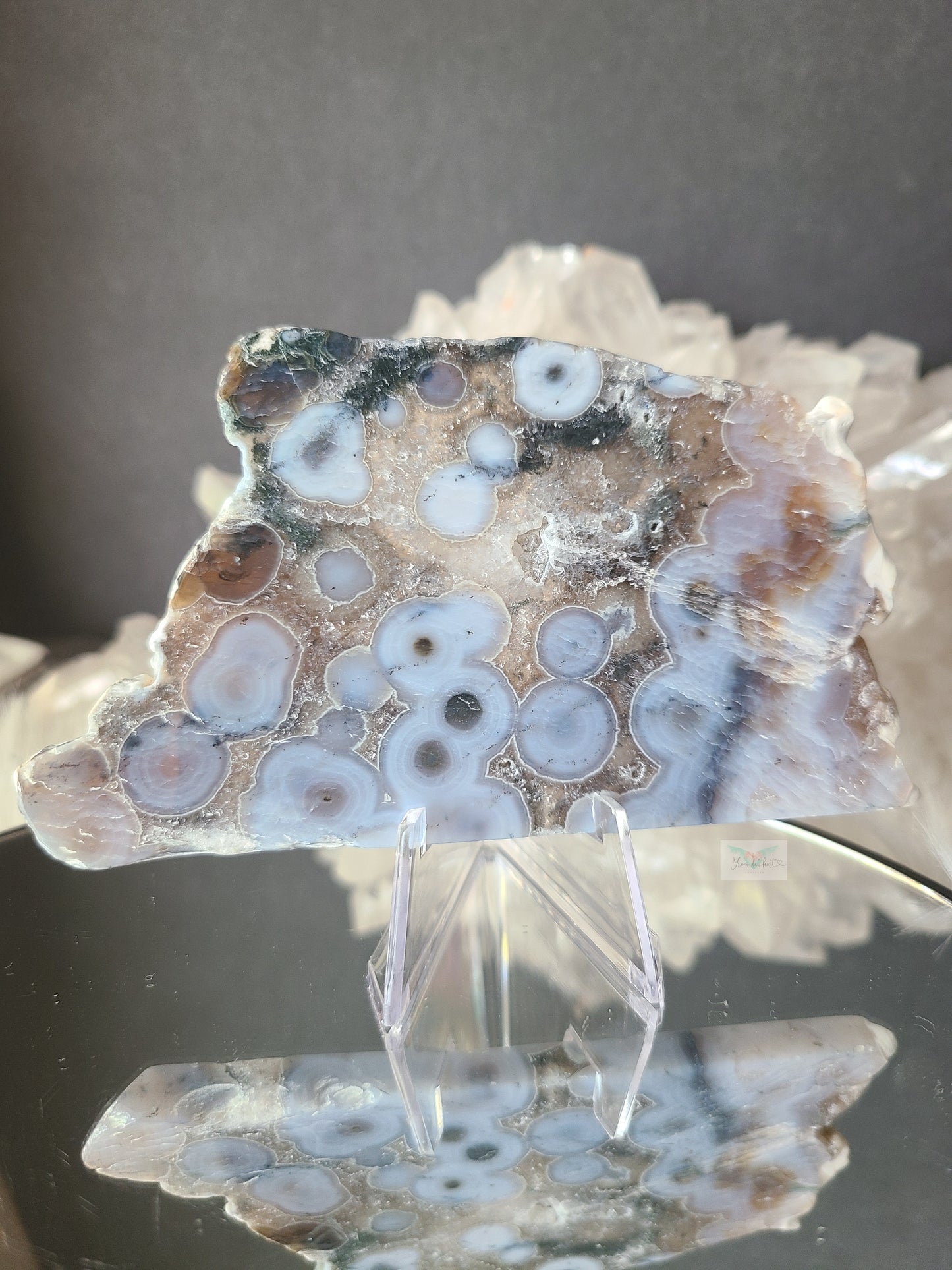 Blue Old Stock Ocean Jasper Slab