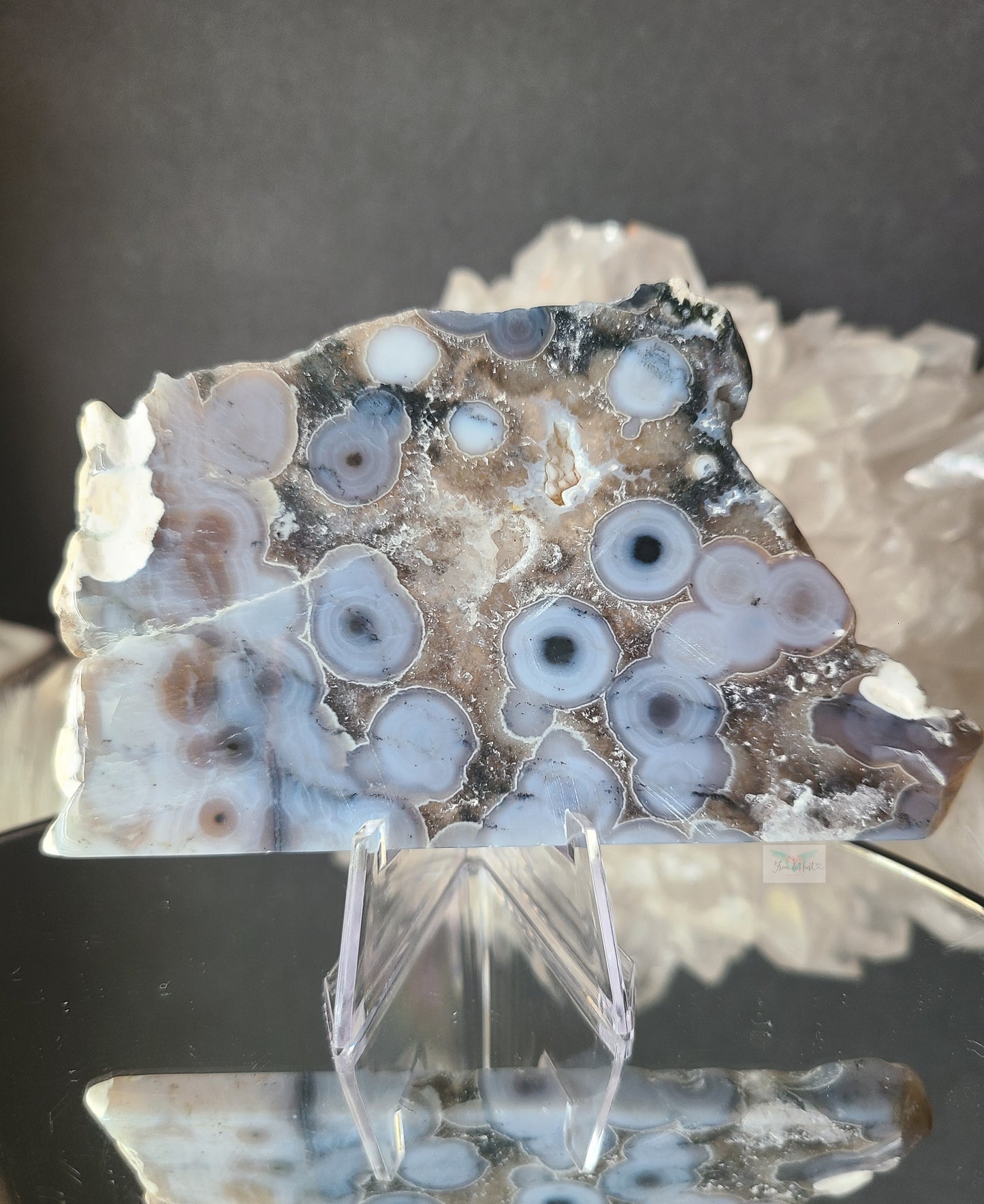 Blue Old Stock Ocean Jasper Slab