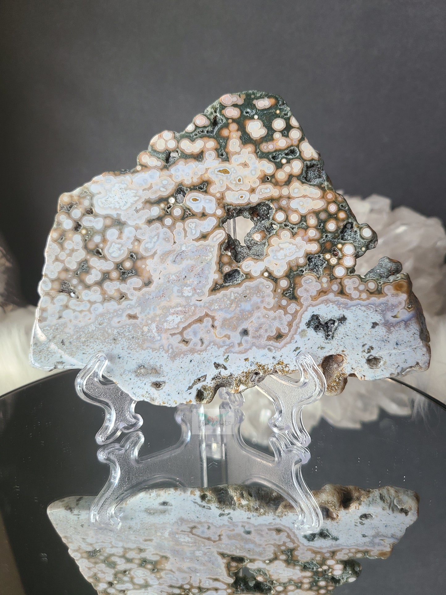 Orbicular Ocean Jasper Slab