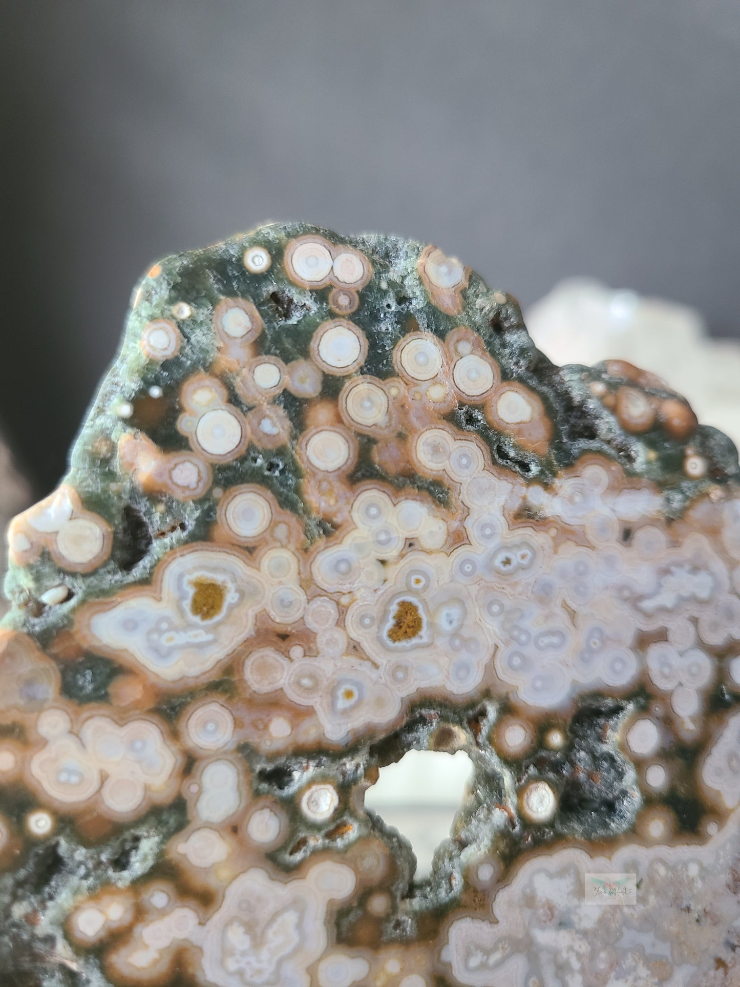 Orbicular Ocean Jasper Slab