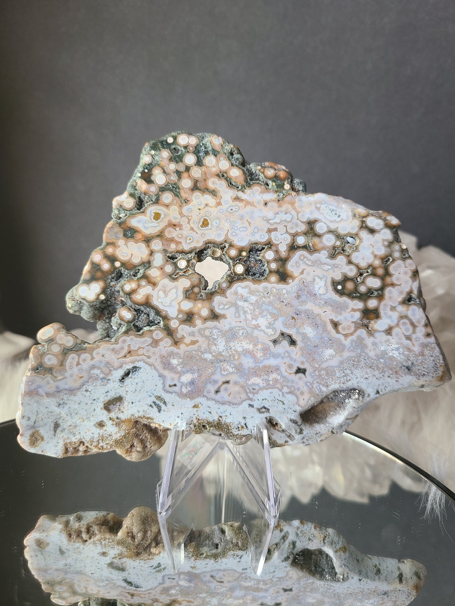 Orbicular Ocean Jasper Slab