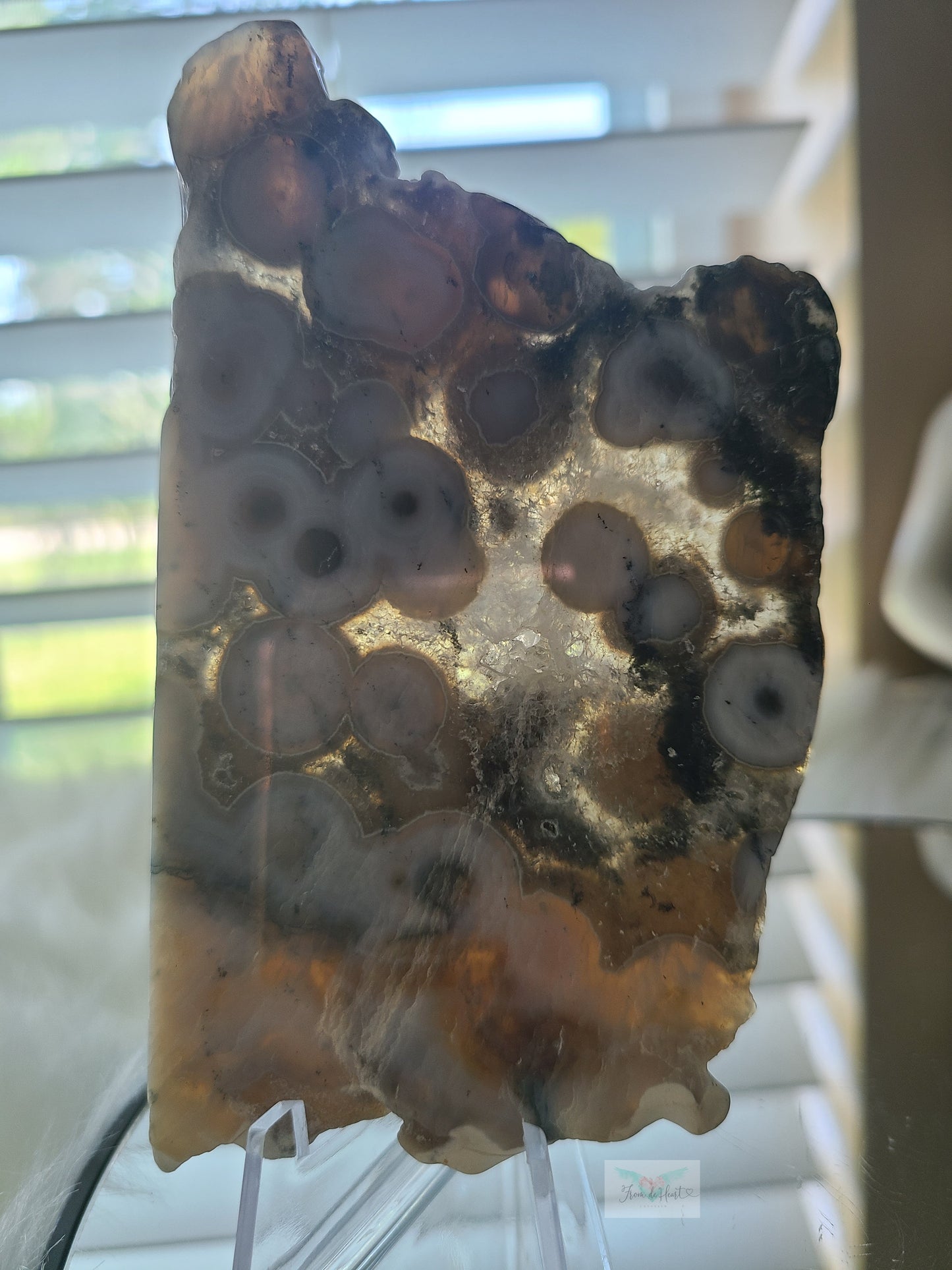 Blue Old Stock Ocean Jasper Slab