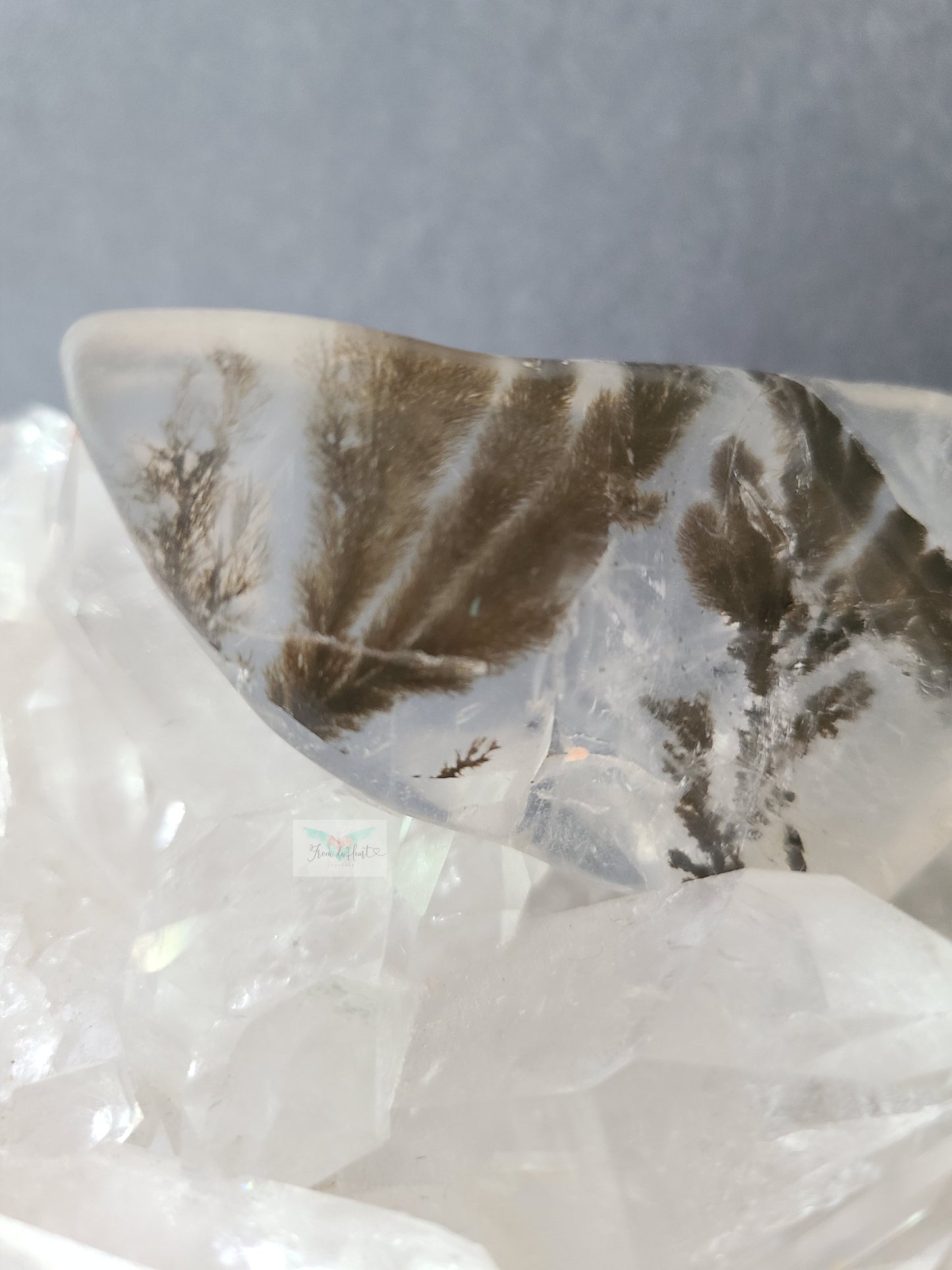 Dendritic Clear Quartz freeforms