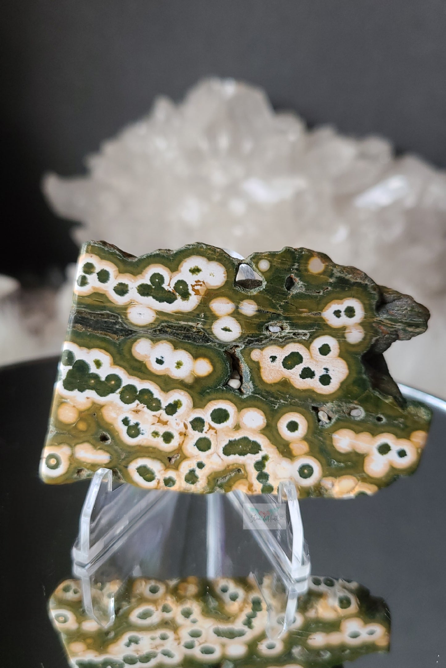 Ocean Jasper Slab and Palmstone