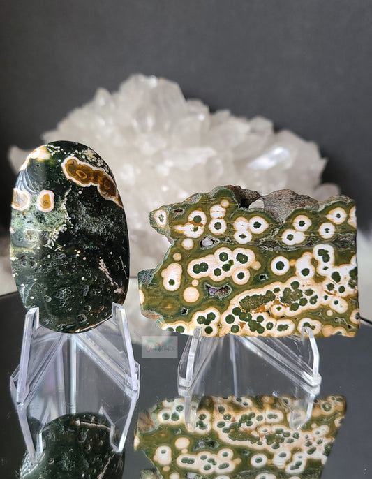 Ocean Jasper Slab and Palmstone