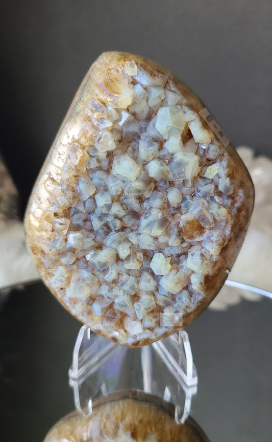 Blue Chalcedony on Amethyst Citrine (RARE)