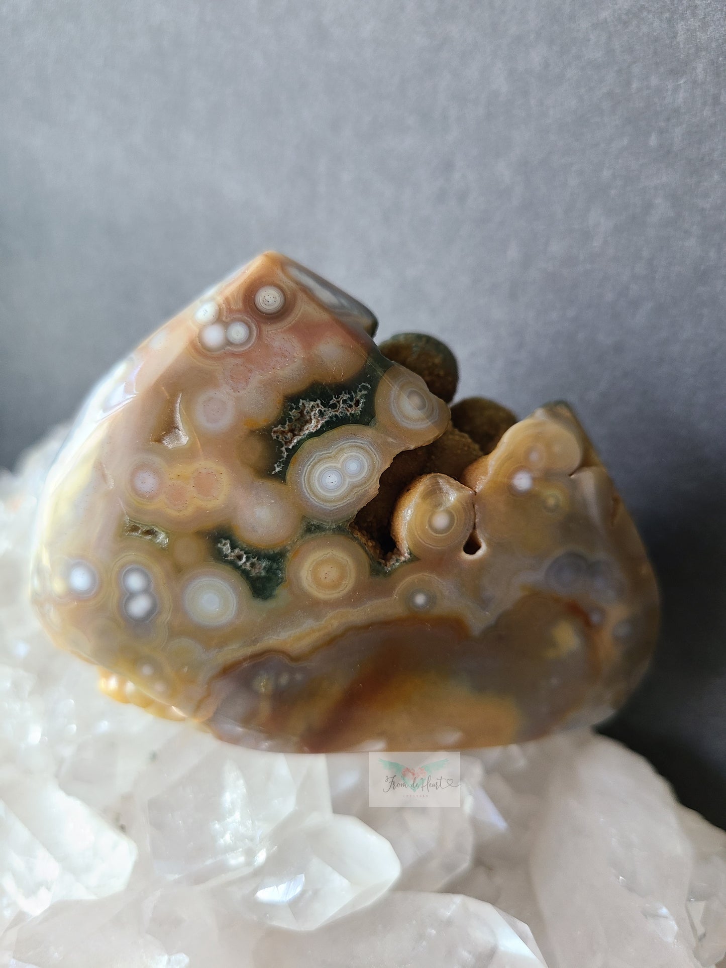 Botryoidal Orbicular Ocean Jasper Freeform