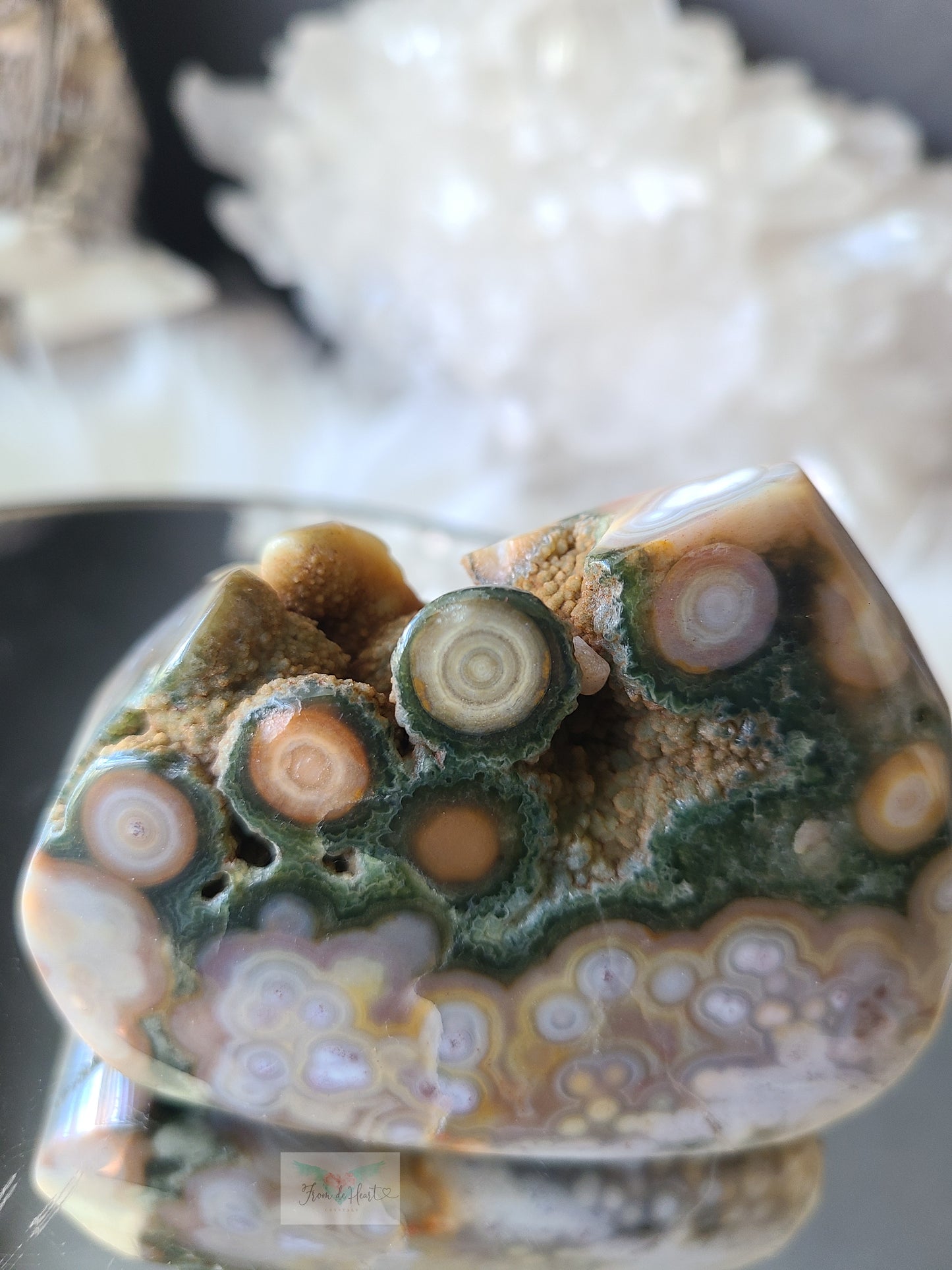 Botryoidal Orbicular Ocean Jasper Freeform