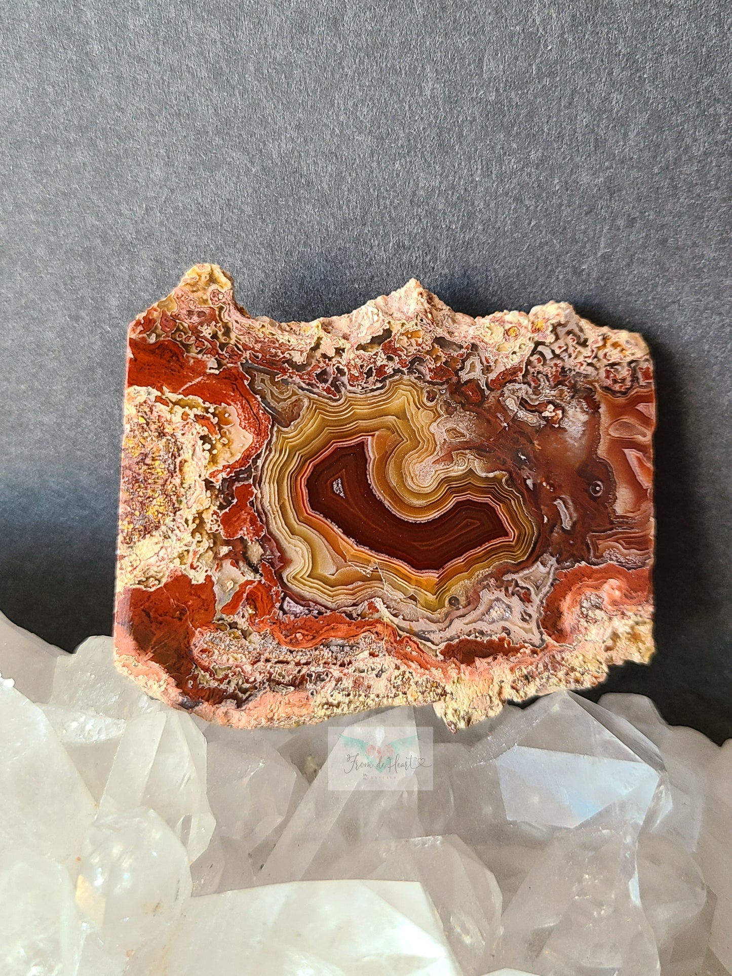 Collectors Red and Yellow Laguna Agate Slab