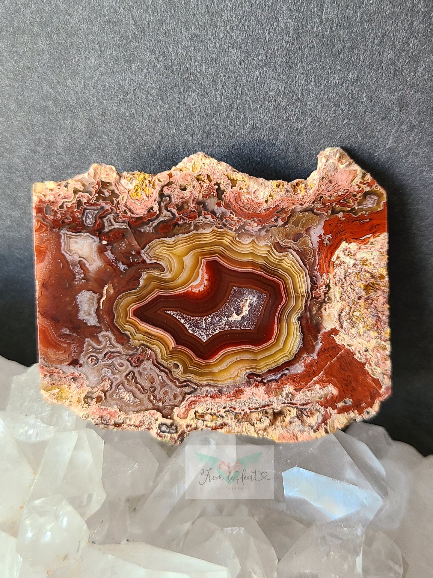 Collectors Red and Yellow Laguna Agate Slab