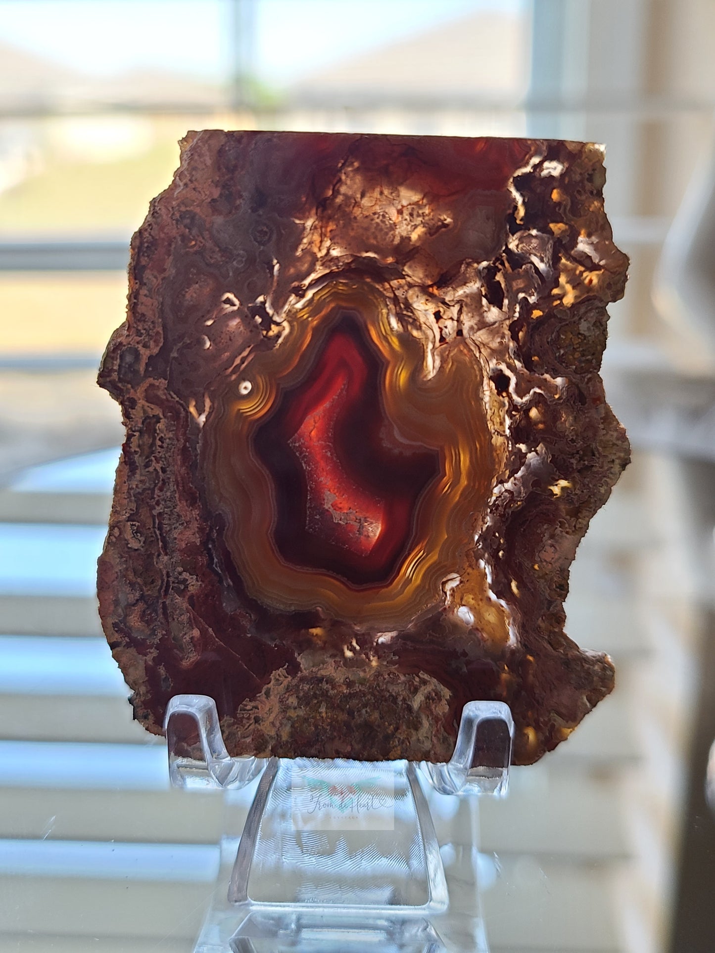 Collectors Red and Yellow Laguna Agate Slab