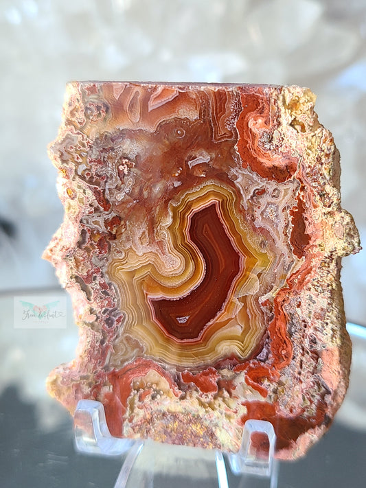 Collectors Red and Yellow Laguna Agate Slab